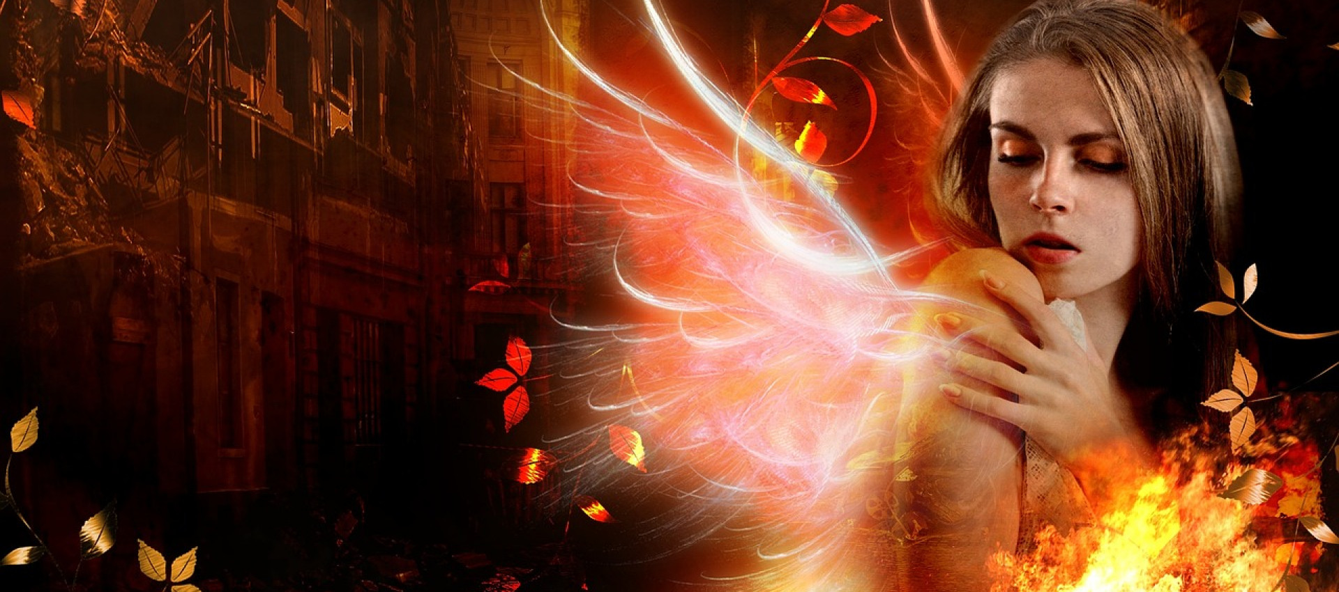 Wie Phoenix aus der Asche